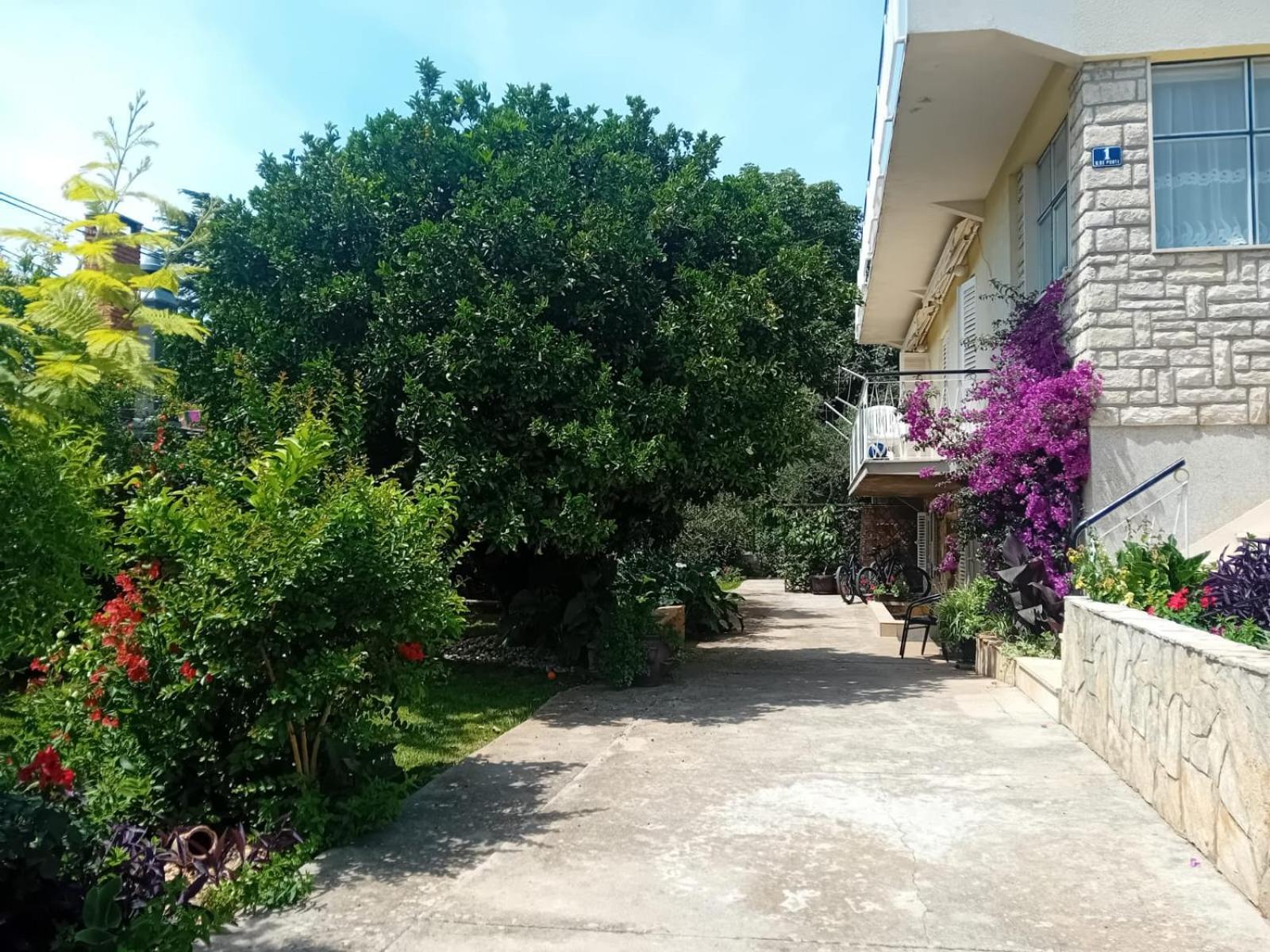 Apartments Angie Zadar Dış mekan fotoğraf